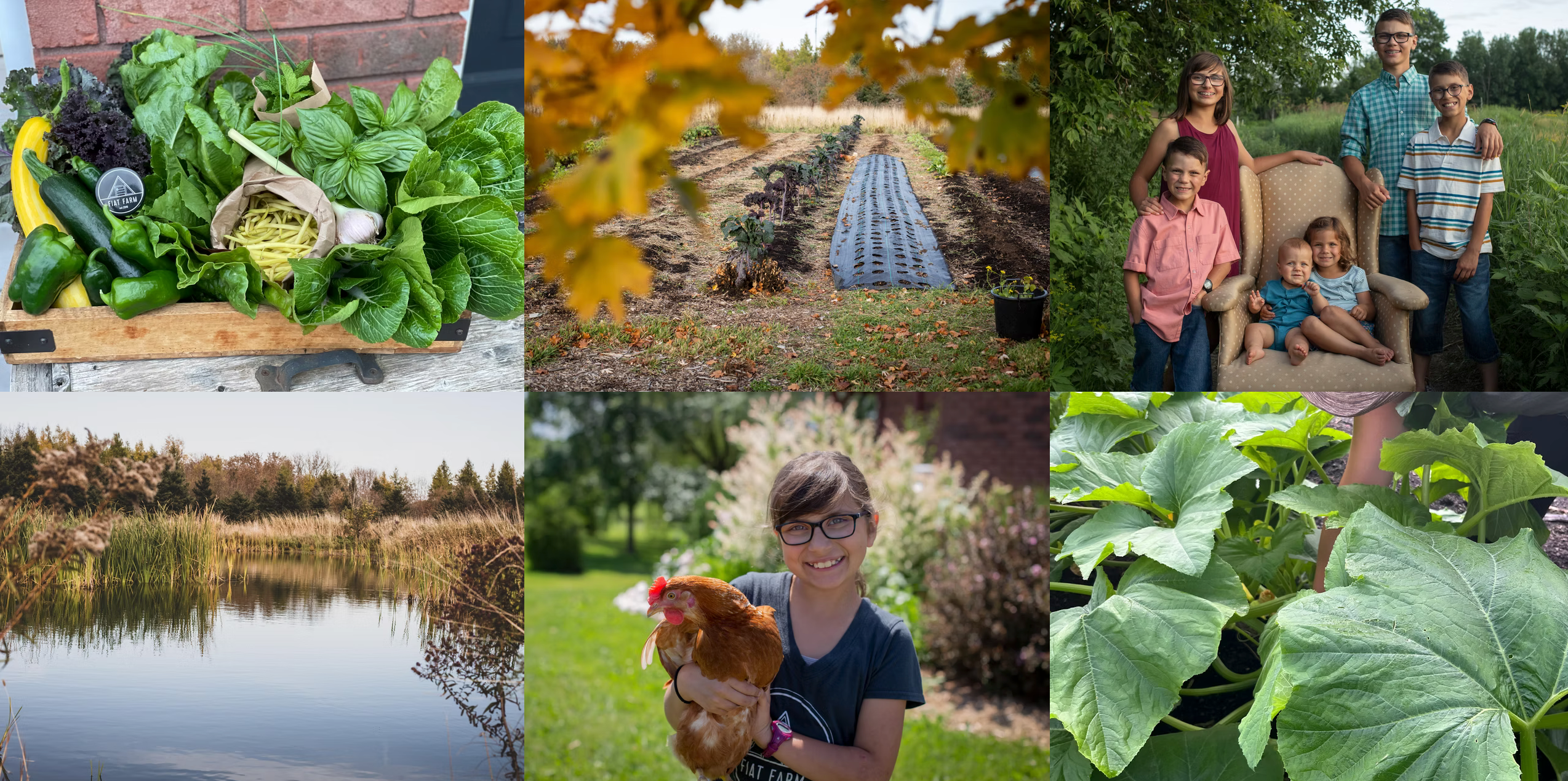 Collage of images including vegetables, a farm field, a family photo, a pond, and a person with a dog.