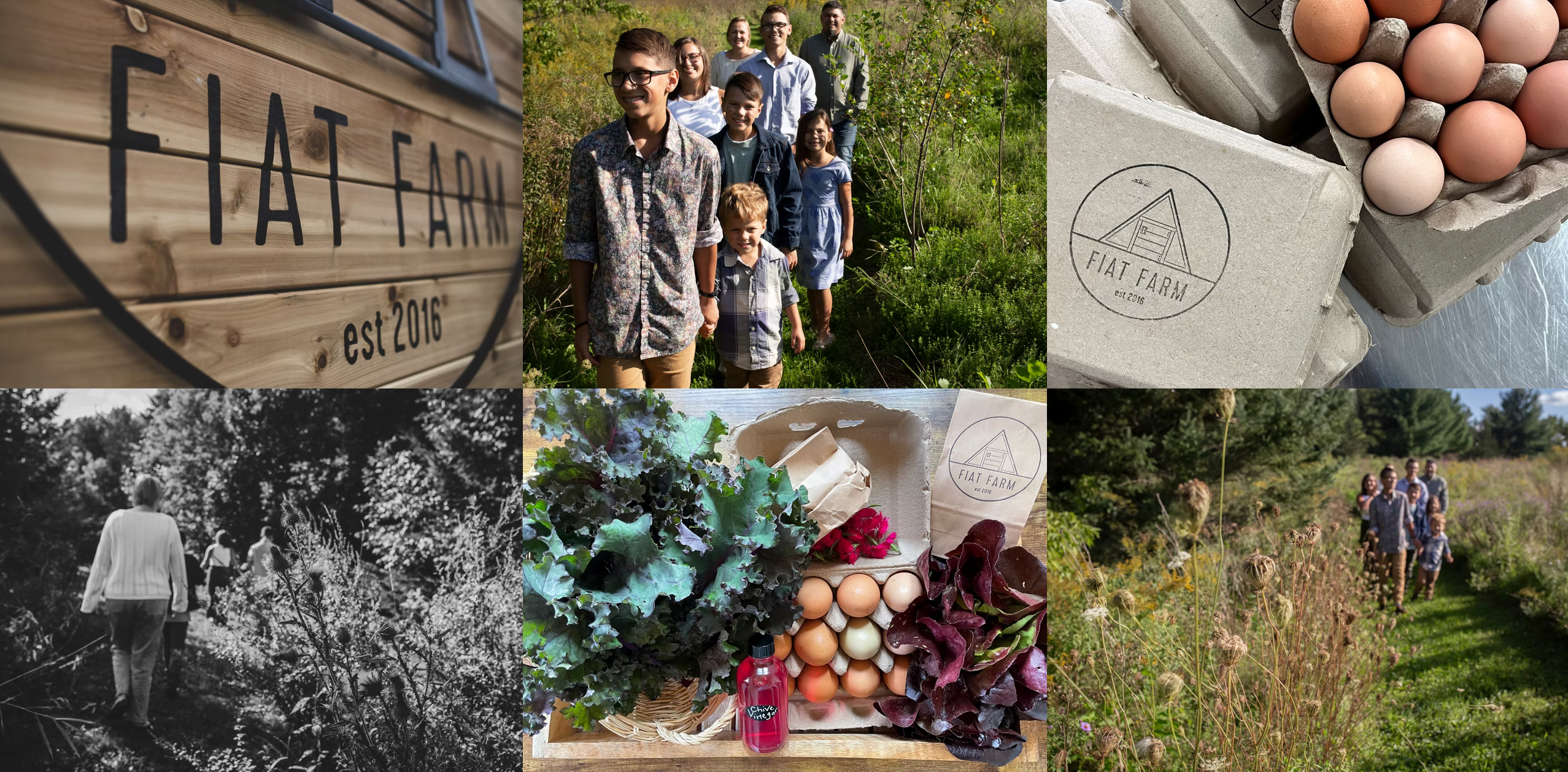 Collage of images related to Fiat Farm, including a wooden sign, people walking in a field, eggs, and a box of produce.