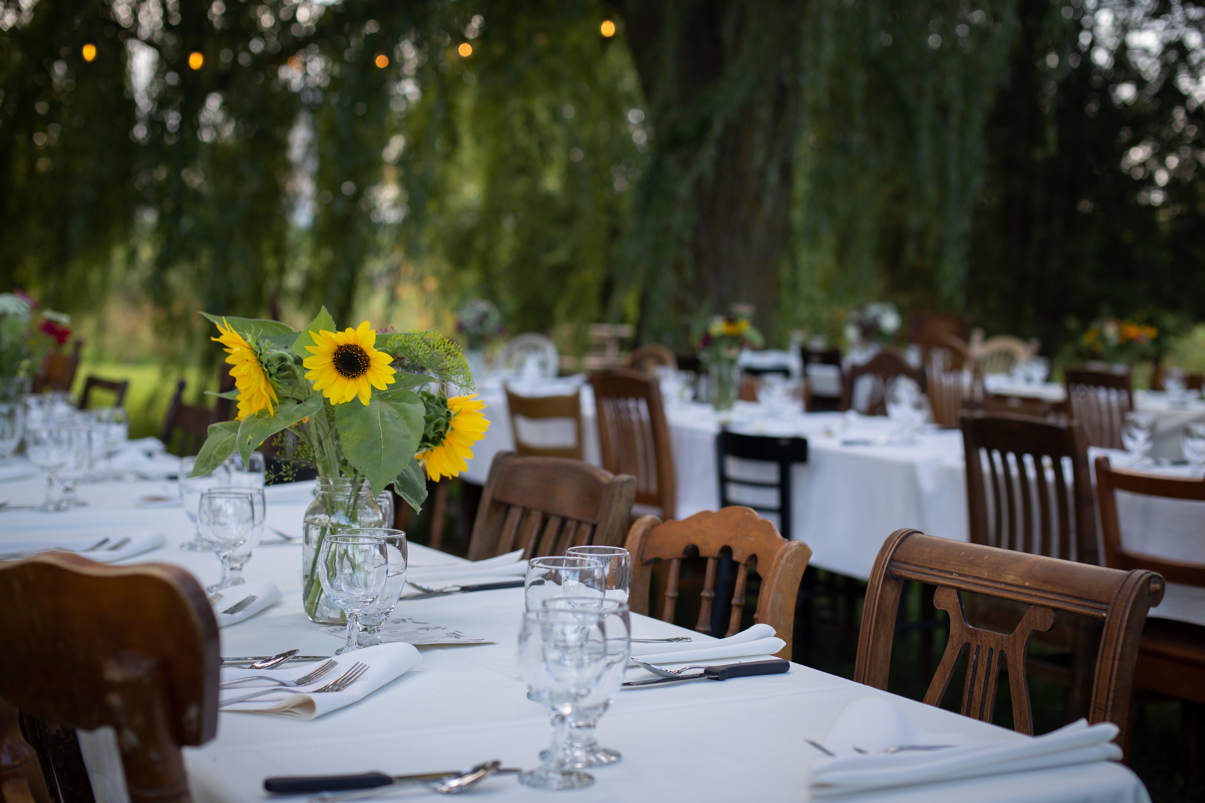 Harvest Celebration | Farm-to-Table Dinner & Concert | August 22, 2026