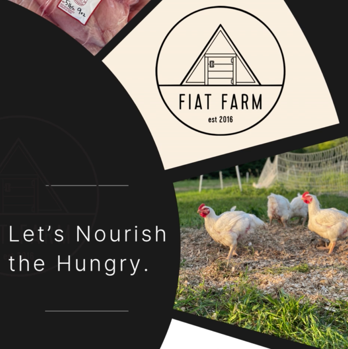Fiat Farm promotional graphic with chickens, a logo, and text 'Let's Nourish the Hungry'.