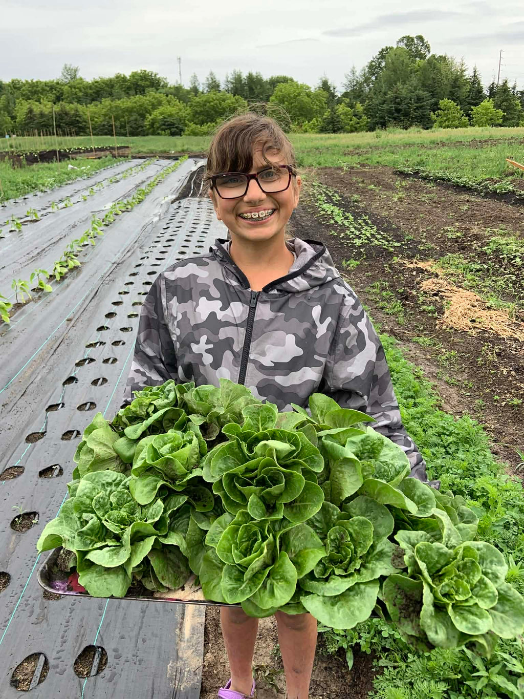 Person holding a tray of lettuce in an outdoor farming setting