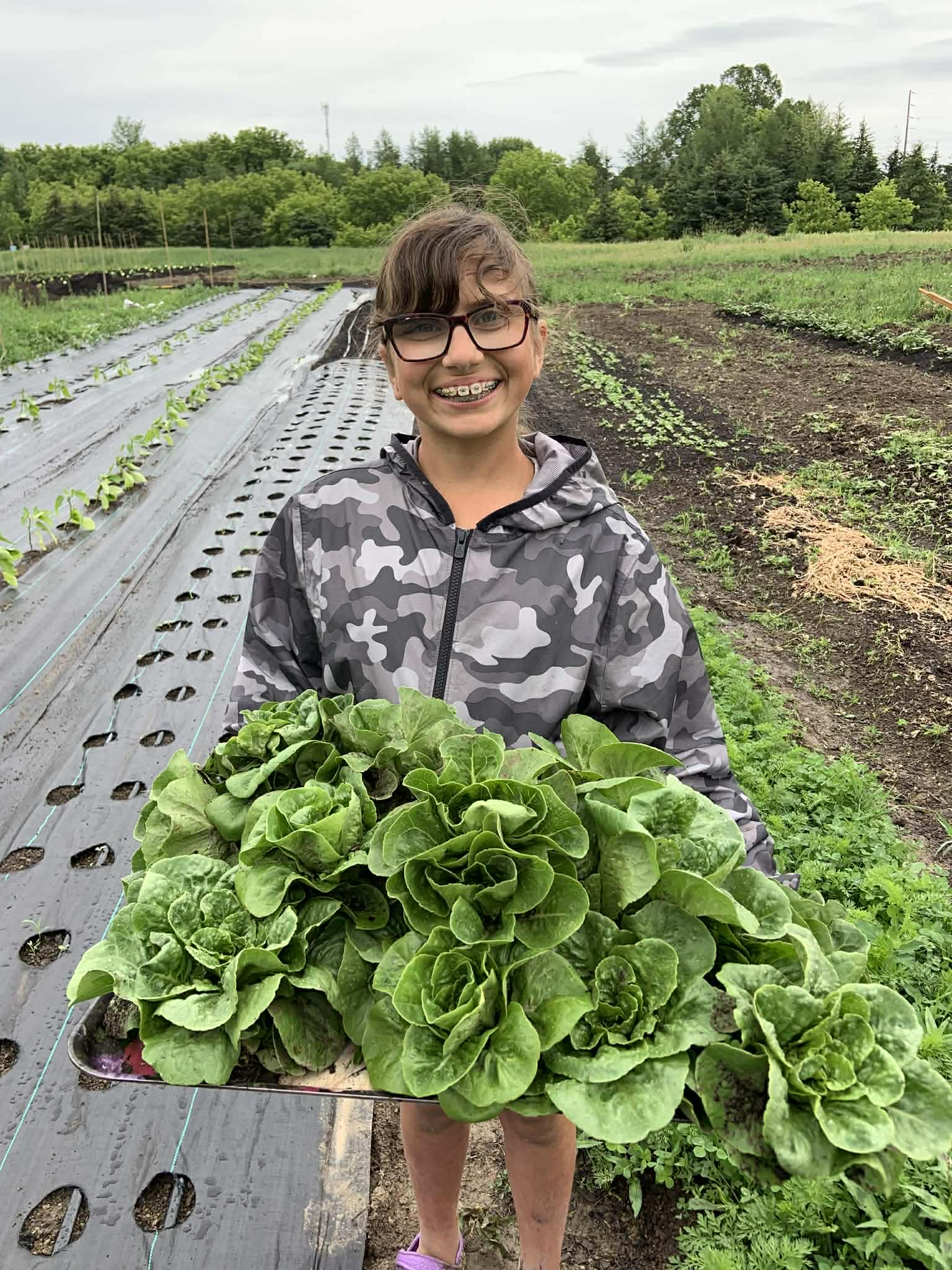 Person holding a tray of lettuce in an outdoor farming setting