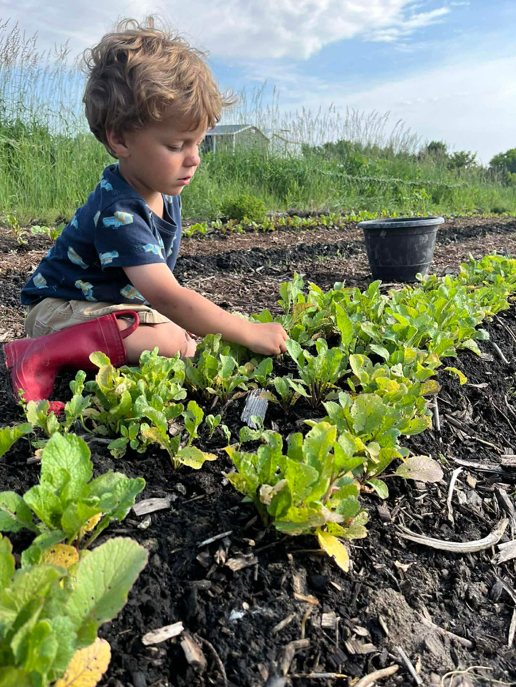 Child in a garden tending to plants with a blue sky and greenery in the background