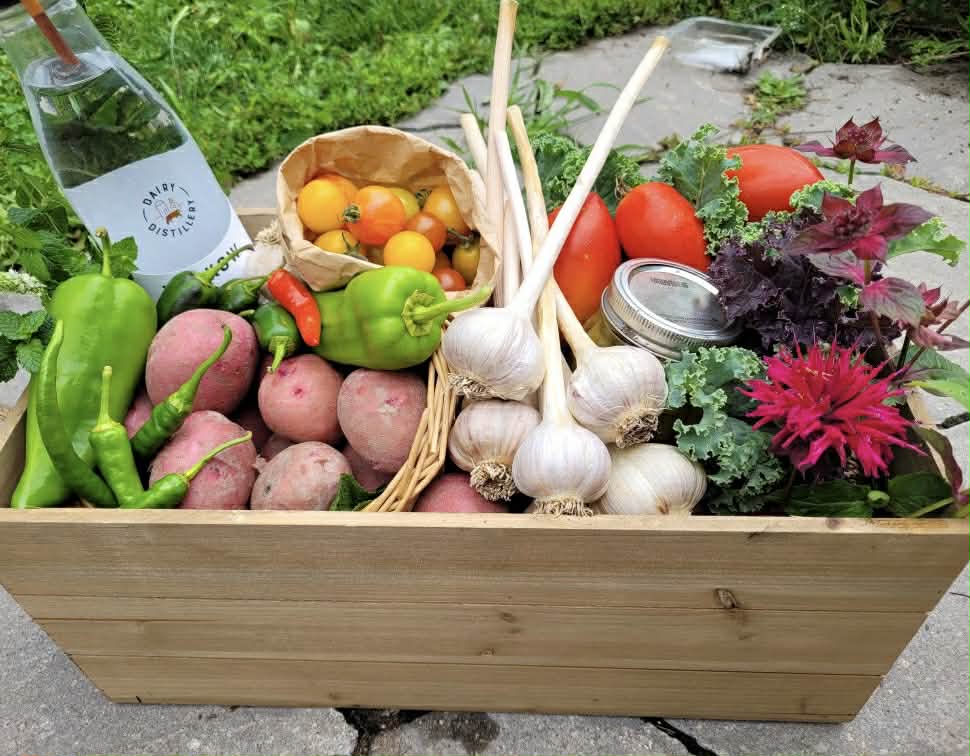 Wooden box filled with fresh produce including vegetables and a bottle of wine on a grassy background.